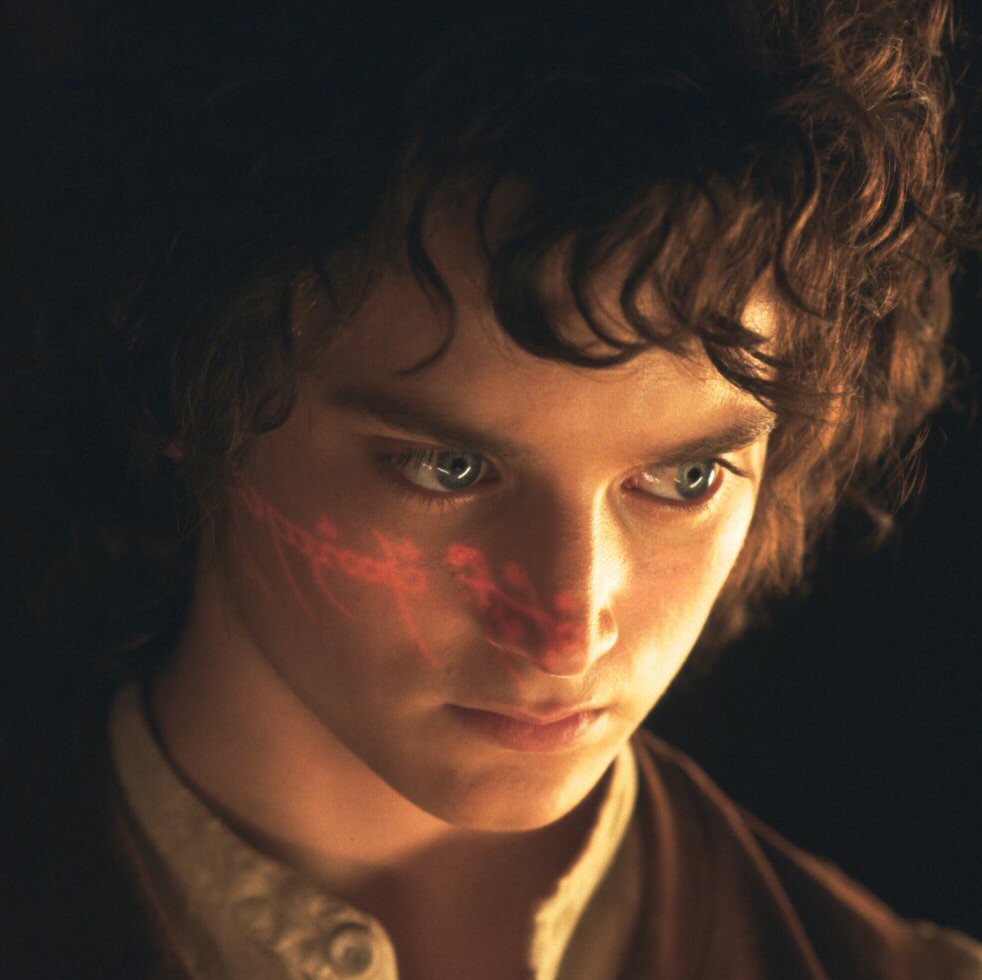 frodo8